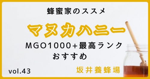 高級マヌカハニー（MGO1000＋以上）最高純度のおすすめ！養蜂家