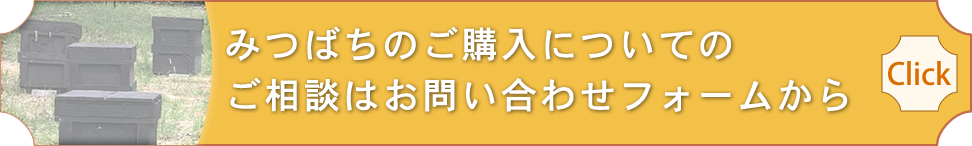 みつばちのご購入についてのご相談はお問い合わせフォームから